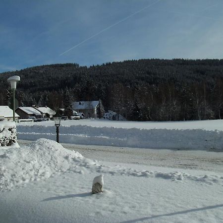 Hotel Rheingold Garni Titisee-Neustadt Eksteriør billede