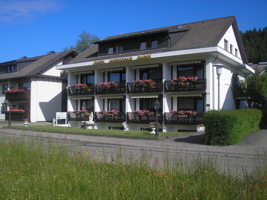 Hotel Rheingold Garni Titisee-Neustadt Eksteriør billede