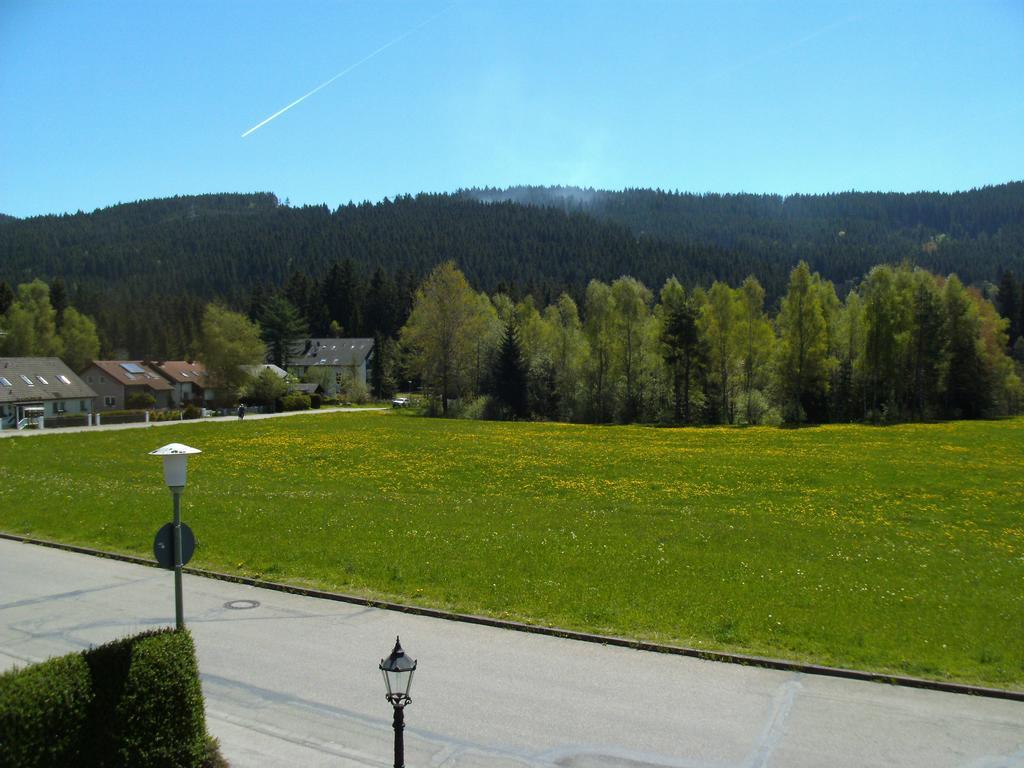 Hotel Rheingold Garni Titisee-Neustadt Eksteriør billede