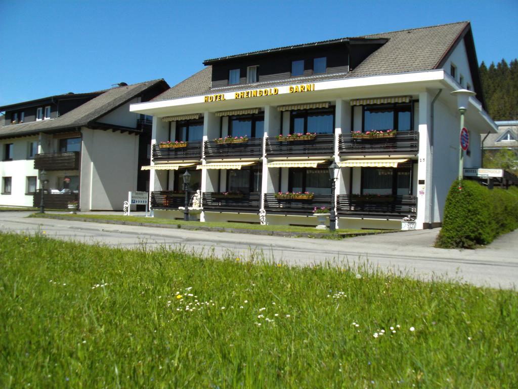 Hotel Rheingold Garni Titisee-Neustadt Eksteriør billede